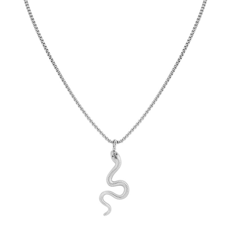 Stainless steel  Snake necklace, Intensity