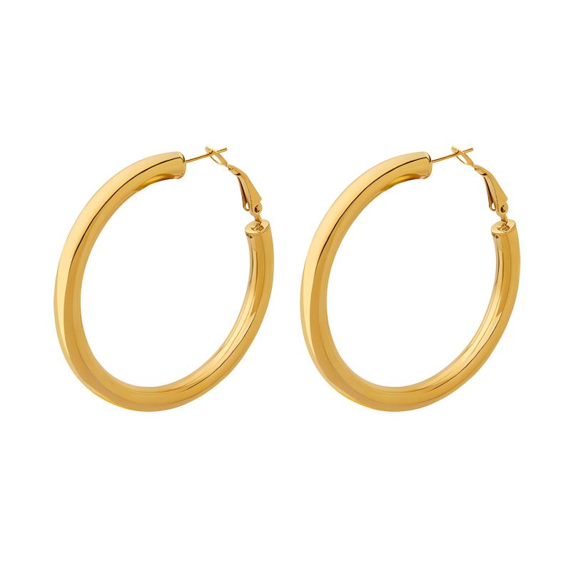 18K gold plated Stainless steel earrings, Intensity